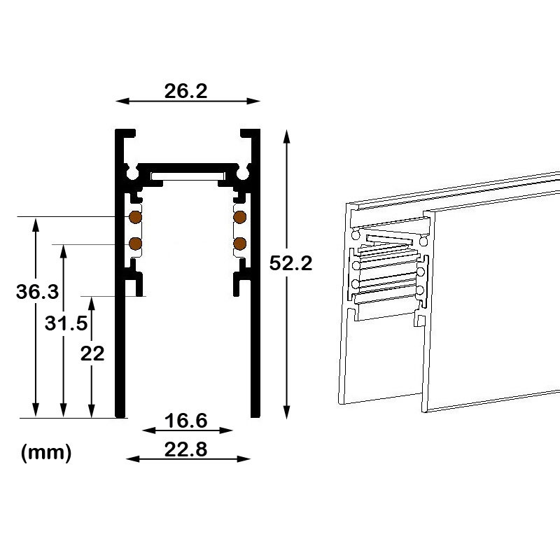 TSMA track rail (2)