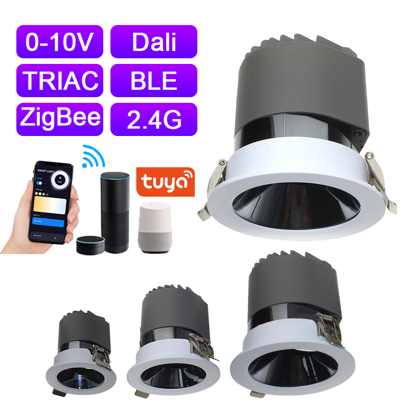 smart downlight RDS02